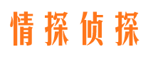 乌苏侦探公司